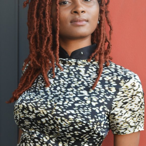 NWT Montara Beach Qipao/Cheongsam Style Dress - Picture 8 of 15